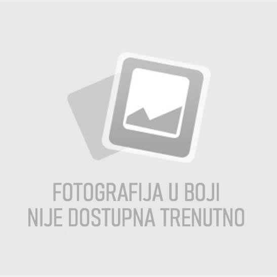 AI kolorizovana fotografija