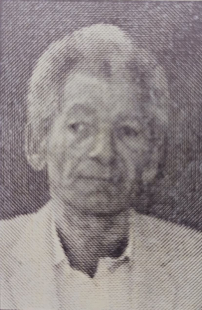 Nedžib Mušanović