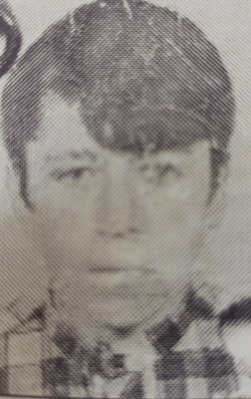Nermin Islamović