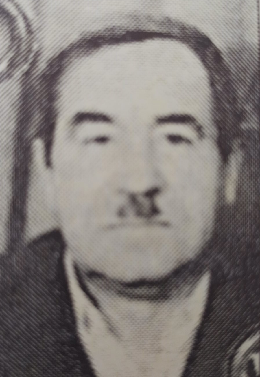 Vejsil Alić