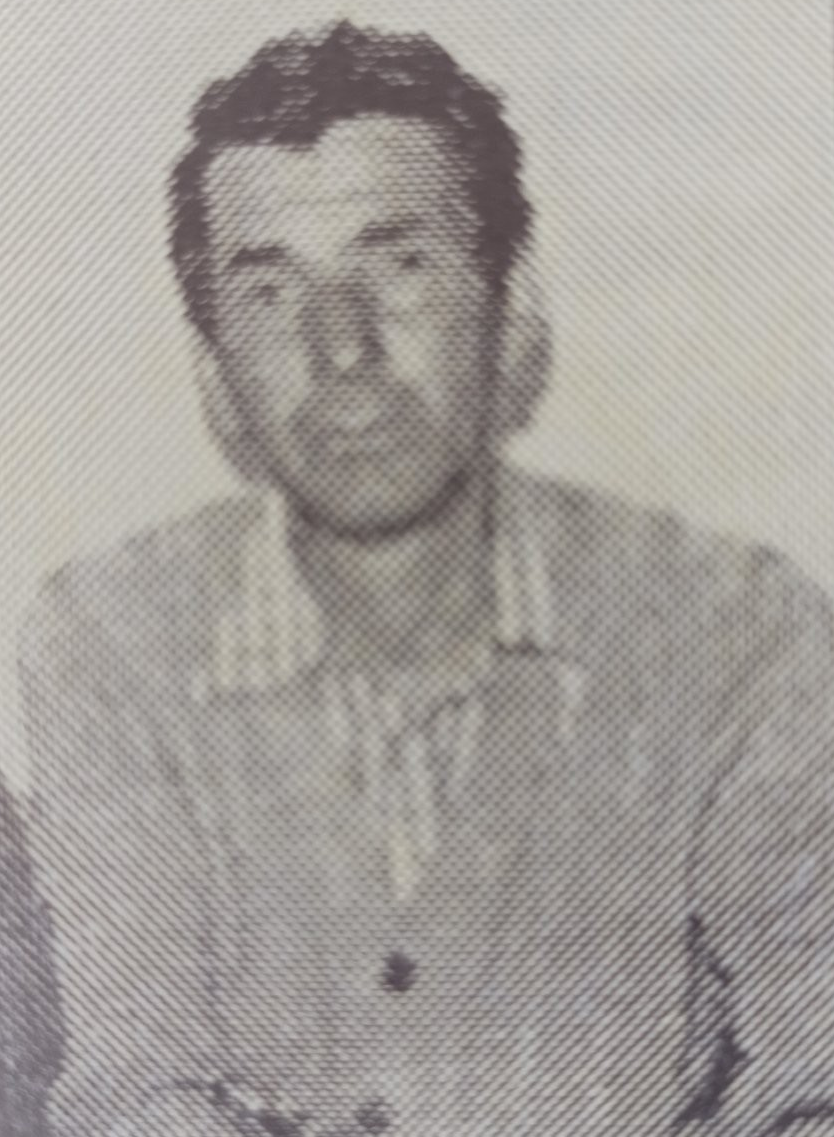 Smail Vildić