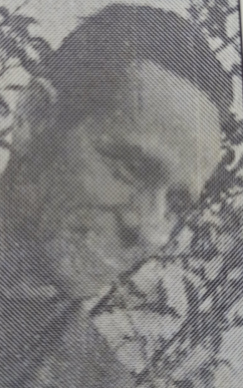 Hasan Živčić 