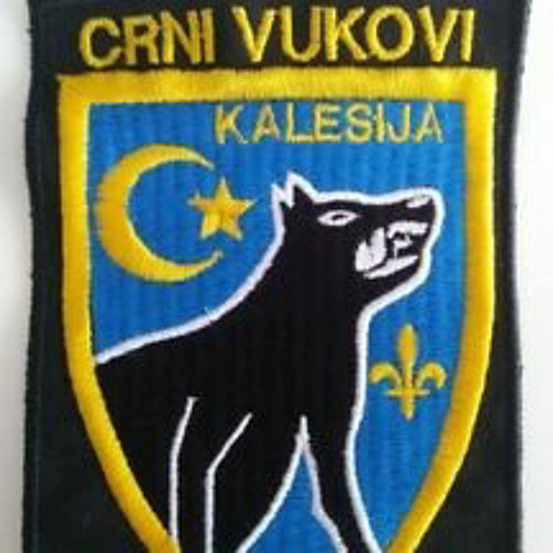 Jedinica SDB “Crni Vukovi” Kalesija - Slika 2
