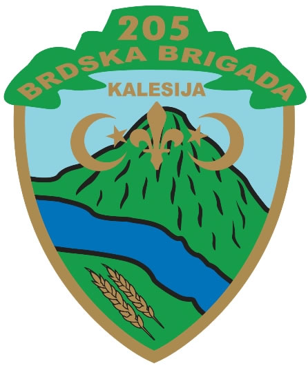 205. brdska brigada Kalesija