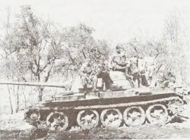 Brezik